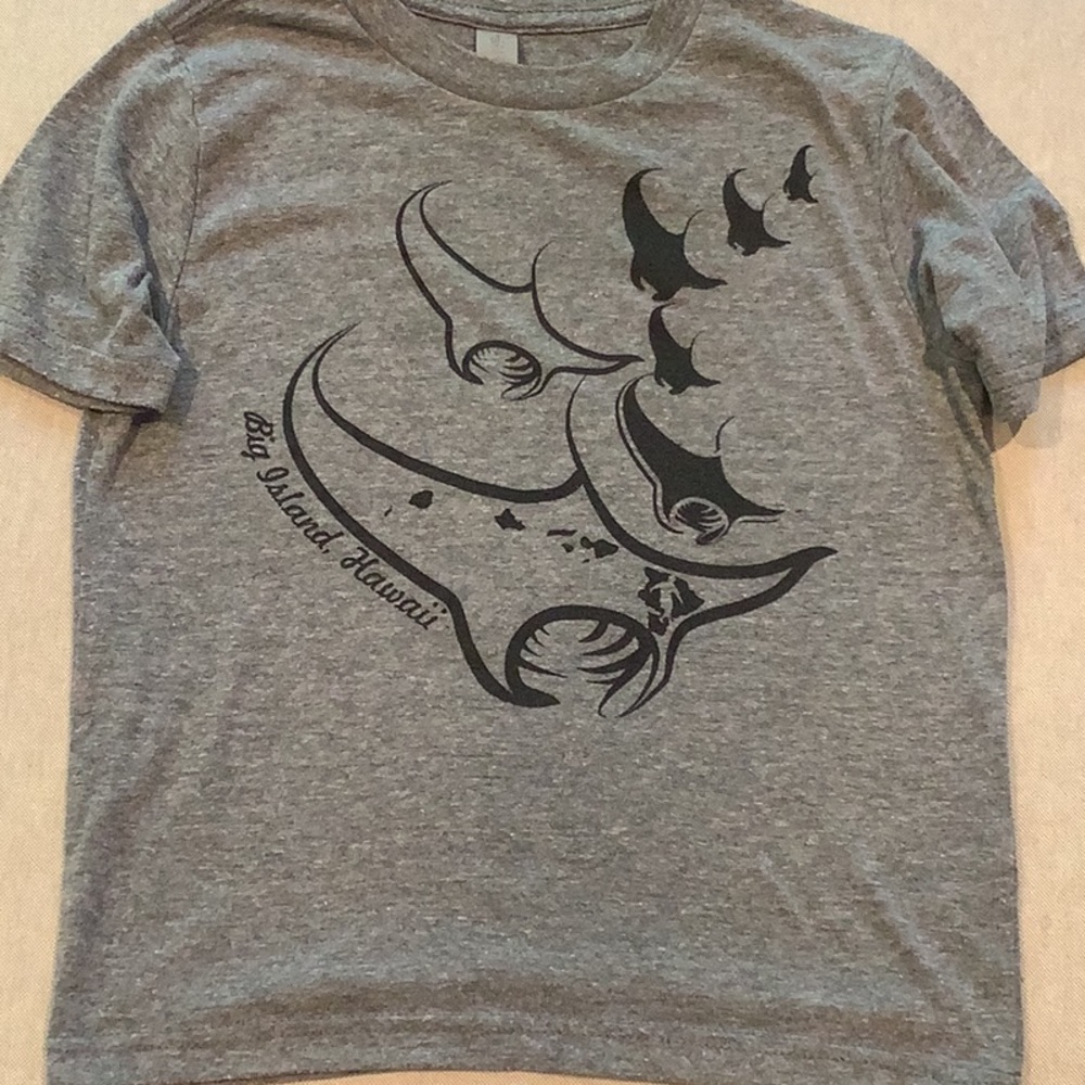 Next Level Apparel - TOP - Boys’ Size XS (4-5) - Gray